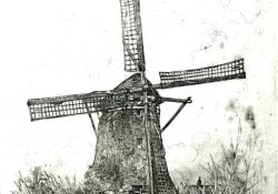 Molen in het riet